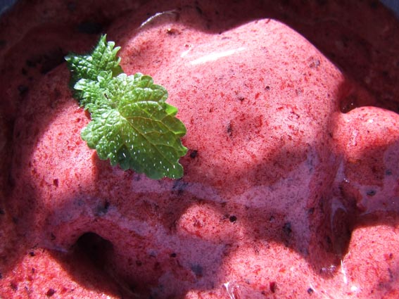 mixed berry sorbet semifreddo - sugar free