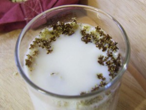 Sweet fragrant Elderflower milk-sugar free  with stevia