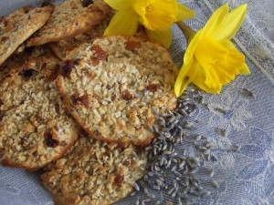 Mrs Meiers oat bites – soft Lavender with stevia