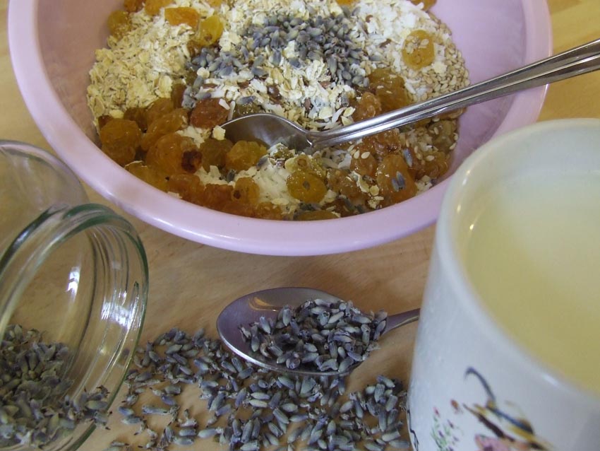 oat bites-soft Lavender flavour with Stevia sweet