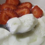 Sugar free Junket, historic milk pudding dessert with strawberries 