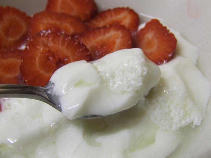 Sugar free Junket, historic milk pudding dessert with strawberries