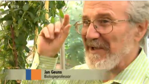 Professor Jan Geuns with his 2 meter Stevia plant