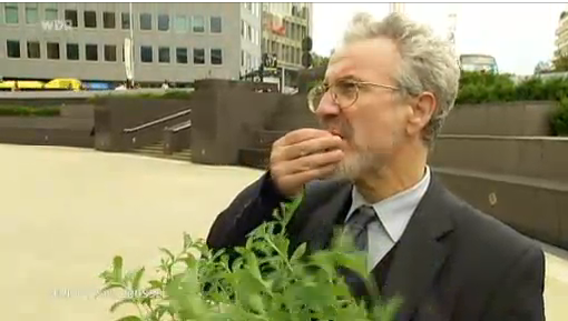 Professor Jan Geuns with stevia plant in Brussels