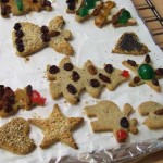 Christmas – Sour Cream Cookie cutter Cookies with Stevia (Sugar + Gluten free)