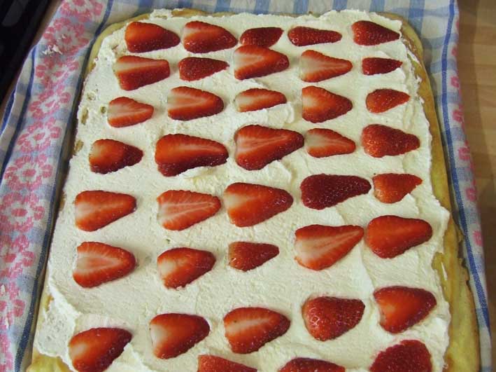 Recipe for summer Strawberry Roulade Sponge with Cream - Gluten, Starch and Sugar FREE - sweetened with Stevia -before rolling