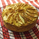 Paleo apple sauce cake sweetened with Stevia