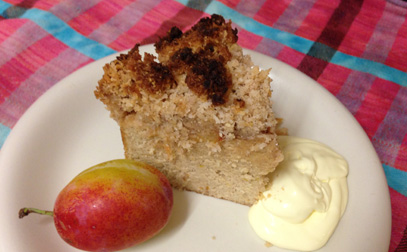 Paleo plumb crumble served with jersey cream