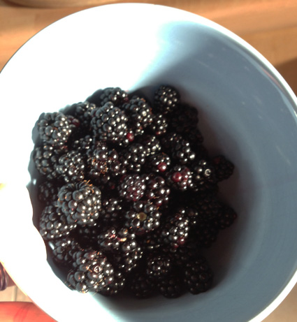 wild_gathered_blackberries_leeds