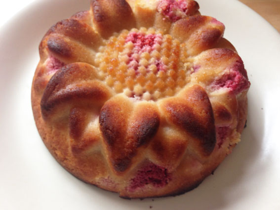 Raspberry_Lemon_cake-elimination_diet-sunflower-mould