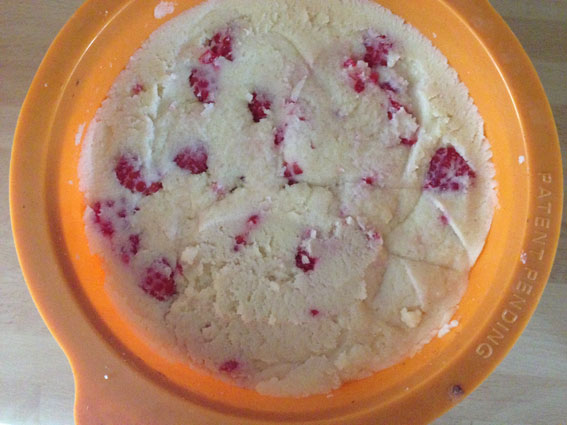 Raspberry_Lemon_cake-elimination_diet-sunflower-mould_pre-baking