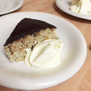 Foolproof-coconut-cake-with-Stevia-with-chocolate-covering