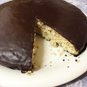 Foolproof-coconut-cake-with-Stevia-with-chocolate-covering2