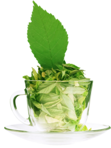 stevia-tea-glass-cup-72dpi