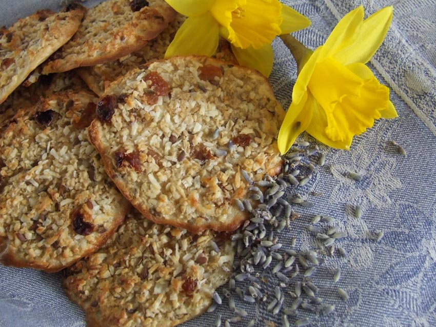 Mrs Meiers oat bites 2 – soft Lavender