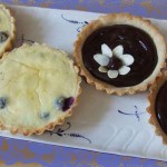  Sugar and Gluten free pastry blueberry or chocolate tarts with Stevia for tea 